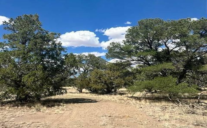Pictures of Land property located at 83 Hough Lane, Pie Town, NM 87827-0000 for sales - image #1