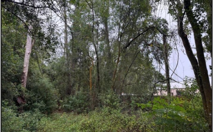 Pictures of Land property located at 0 PERMENTO Avenue, Jacksonville, FL 32220 for sales - image #1