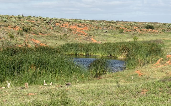 Pictures of Land property located at 15450 Farm to Market Road 2103, Childress, TX 79201 for sales - image #1