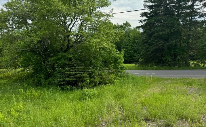 Pictures of Land property located at Peters Cove Road, Orient, ME 04471 for sales - image #1