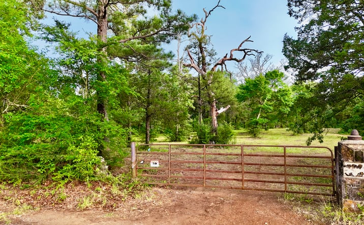 Pictures of Land property located at TBD Gibson Road, Athens, TX 75751 for sales - image #1