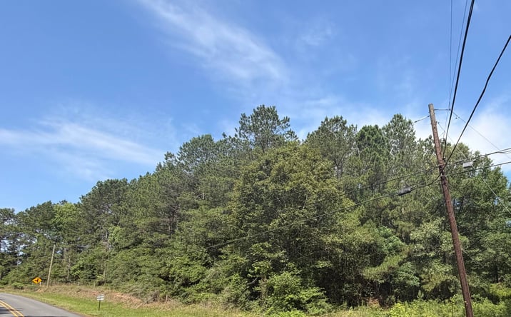 Pictures of Land property located at TBD Jeane Chapel Rd, Leesville, LA 71446-8906 for sales - image #1
