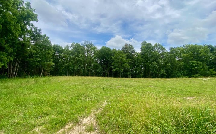 Pictures of Land property located at Lynn Morgan Road, Seaman, OH 45679 for sales - image #1