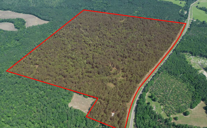 Pictures of Land property located at 269 Cotton Hill Road, Fort Gaines, GA 39851 for sales - image #1