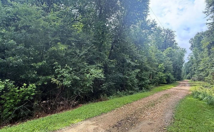 Pictures of Land property located at 3042 Brandi Road, 70964, MS 39666 for sales - image #1