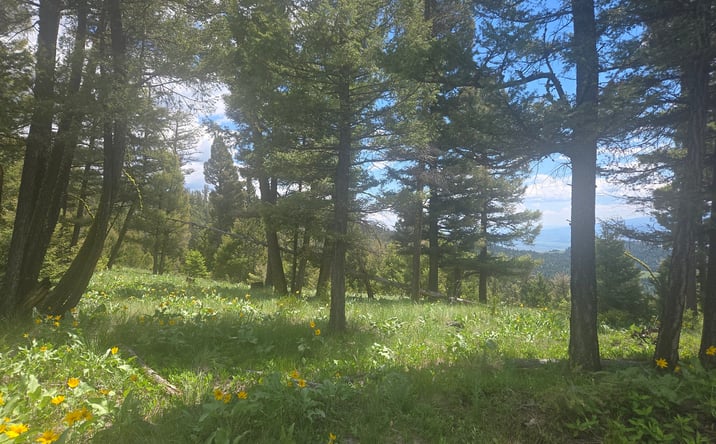 Pictures of Land property located at 2 Big Sky Ridge Road, DRUMMOND, MT 59832 for sales - image #1