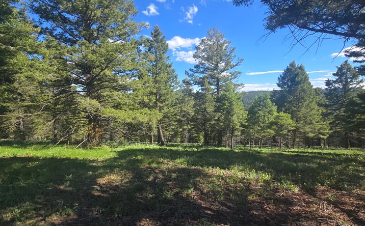 Pictures of Land property located at 28 Muskrat Road, HELMVILLE, MT 59843 for sales - image #1