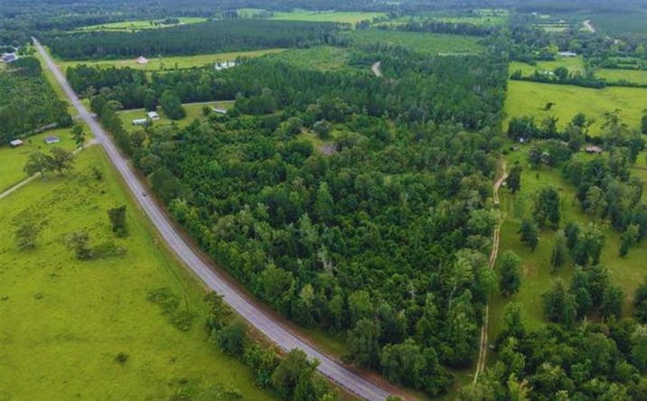 Pictures of Land property located at 1555 HWY 1147, DeRidder, LA 70652 for sales - image #1