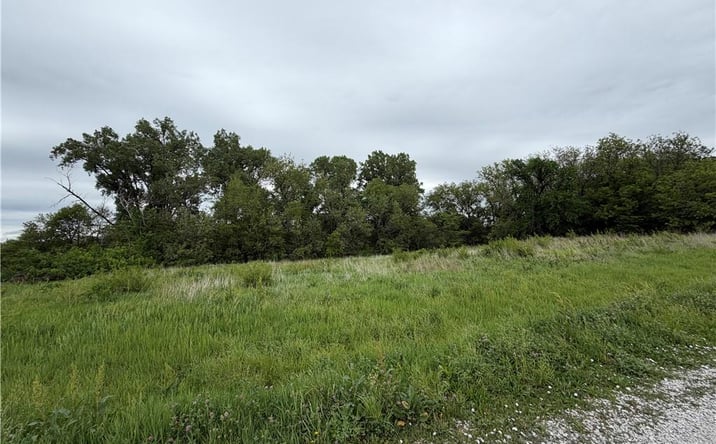 Pictures of Land, Multifamily property located at South Davis Street, Burlington Jct, MO 64428 for sales - image #1