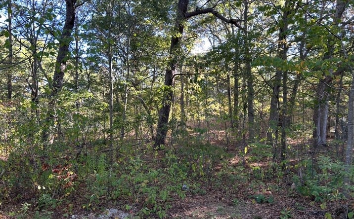 Pictures of Land property located at Meade Avenue, Bellport, NY 11713 for sales - image #1