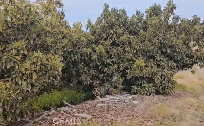 Pictures of Special Purpose property located at 10438 Couser Wy, Valley Center, CA 92003 for sales - image #1