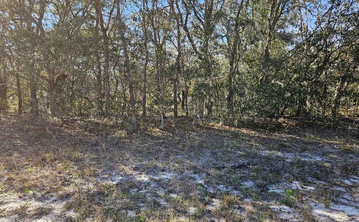 Pictures of Land property located at 6493 North Matheson Drive, Citrus Springs, FL 34434 for sales - image #1