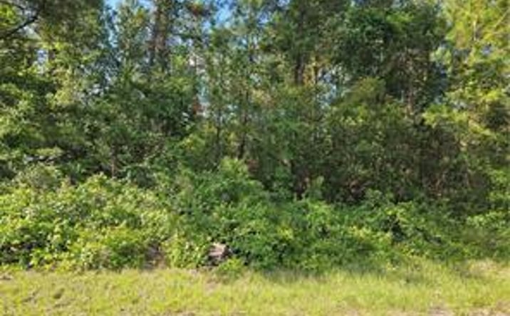 Pictures of Land property located at 622 East Abady Lane, Citrus Springs, FL 34434 for sales - image #1