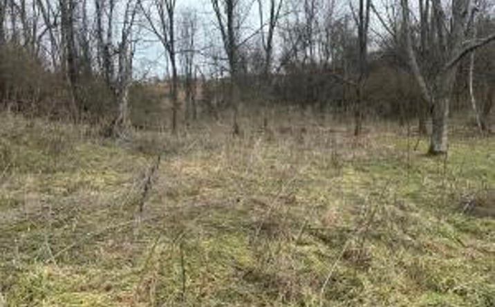 Pictures of Land, Mixed Use, Retail property located at 21509 Clear Creek Road, Bristol, VA 24202 for sales - image #1