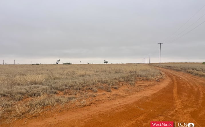 Pictures of Land property located at 8446-8450 Farm to Market 597, Shallowater, TX 79363 for sales - image #1