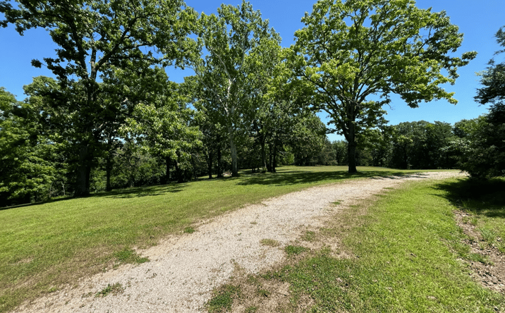 Pictures of Mixed Use, Land property located at 1610 W STATE HWY 165, BRANSON, MO 65616 for sales - image #1
