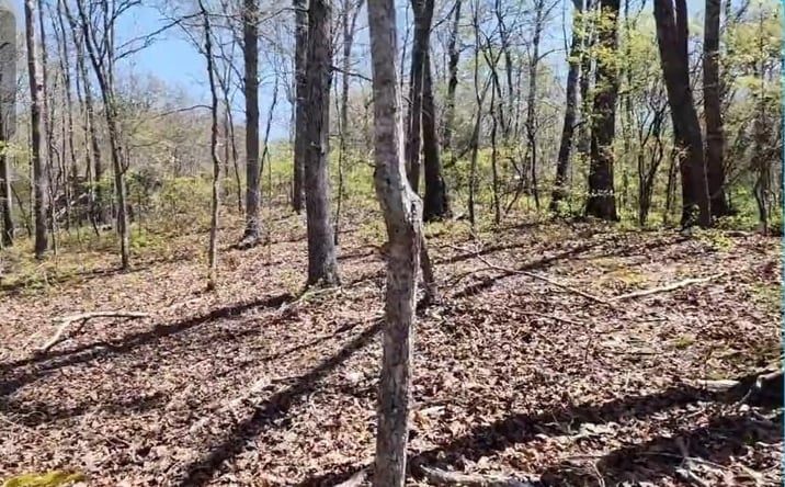 Pictures of Land, Multifamily property located at 117 Chinkapin Cv, Sugar Tree, TN 38380 for sales - image #1