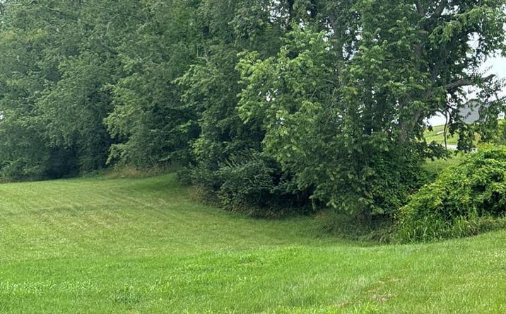 Pictures of Land, Multifamily property located at TBD Astor Rd, Abingdon, VA 24210 for sales - image #1