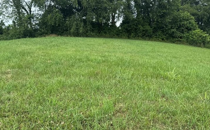 Pictures of Land, Multifamily property located at TBD Northwoods Trail, Abingdon, VA 24210 for sales - image #1