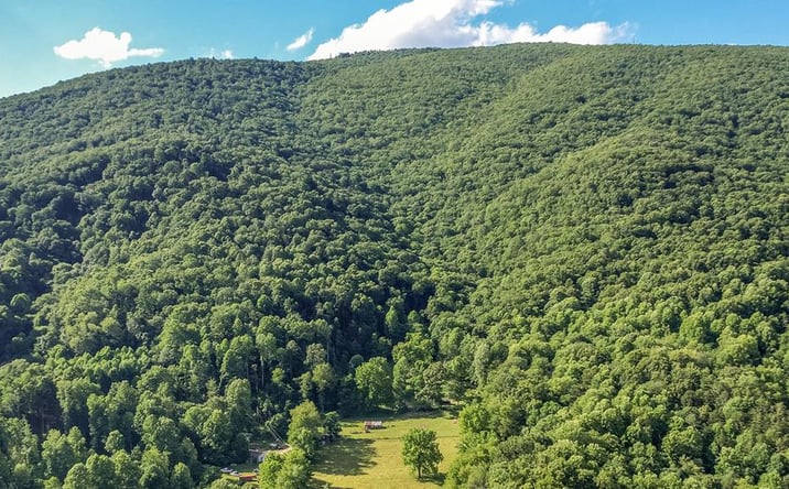 Pictures of Land, Multifamily property located at TBD Poor Valley Road, Saltville, VA 24370 for sales - image #1