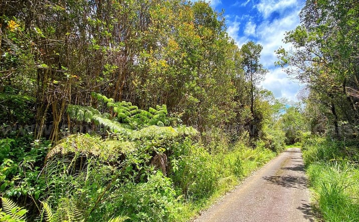 Pictures of Land property located at Wainani St, Aloha Estates, HI 96785 for sales - image #1