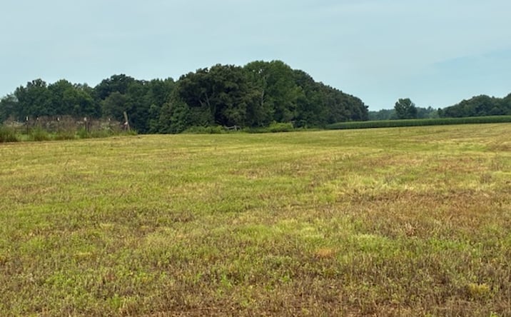 Pictures of Land property located at 0 Rushing Road, Ethridge, TN 38456 for sales - image #1