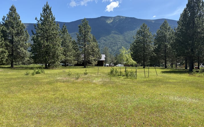 Pictures of Land property located at NHN Tumbleweed Trail, COLUMBIA FALLS, MT 59912 for sales - image #1