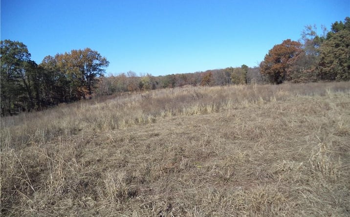 Pictures of Land property located at 00000 CR 1350 Road, Havana, KS 67347 for sales - image #1