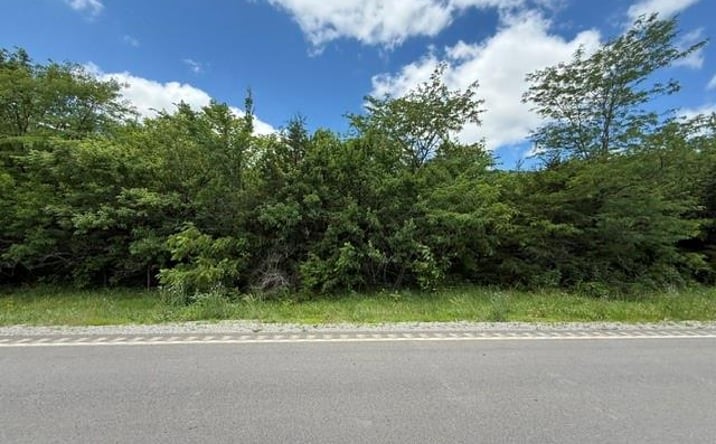 Pictures of Land, Special Purpose property located at TBD 69 Highway, Turney, MO 64493 for sales - image #1