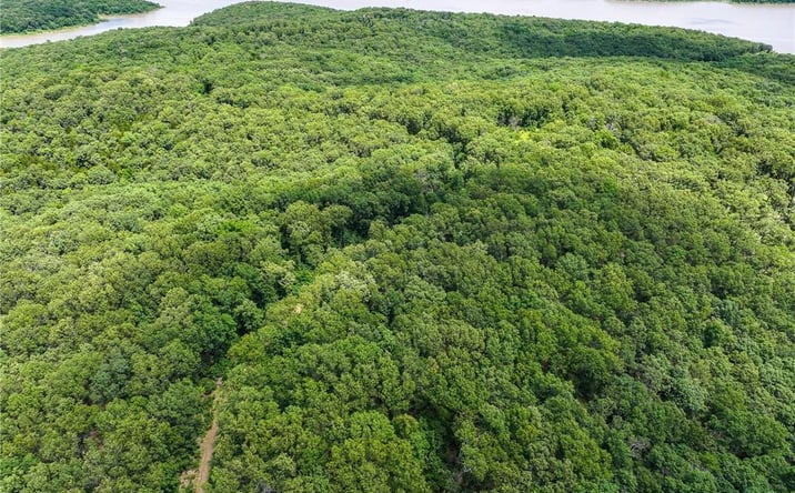 Pictures of Land, Special Purpose property located at 5760 NE 871 Private Road Road, Osceola, MO 64776 for sales - image #1