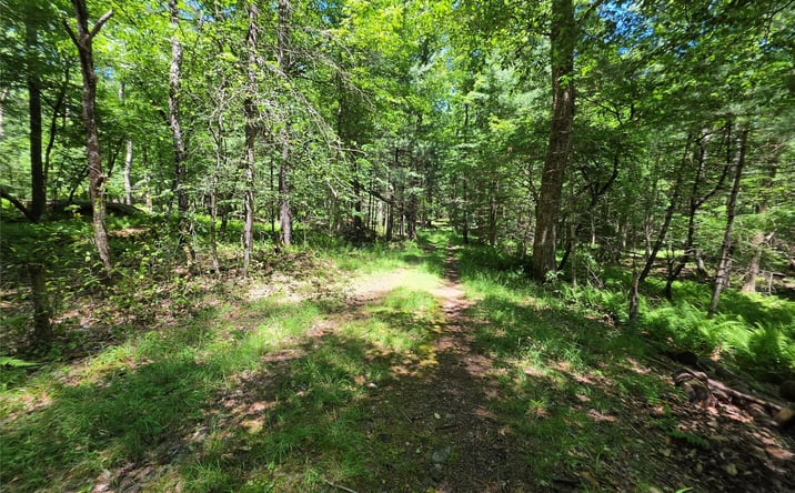 Pictures of Land, Special Purpose, Multifamily property located at TBD Camp Kennybrook Road, Monticello, NY 12701 for sales - image #1