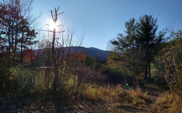 Pictures of Land, Multifamily property located at Route 23a, Palenville, NY 12463 for sales - image #1