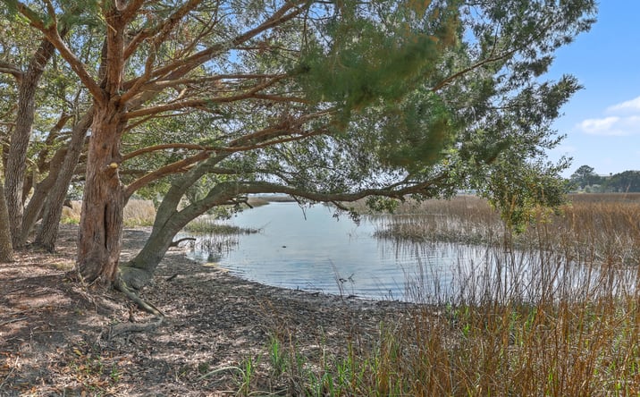 Pictures of Land property located at 00 James Bay Road, Charleston, SC 29455 for sales - image #1