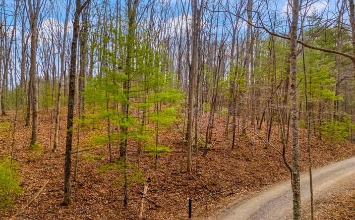 Pictures of Land property located at 0 GUY ELLER RD, MURPHY, NC 28906 for sales - image #1