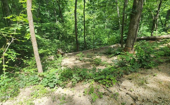 Pictures of Land, Multifamily property located at 730 Lakeview Trail, Holladay, TN 38341 for sales - image #1