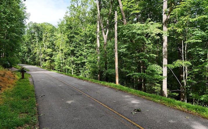 Pictures of Land property located at Lot 131 Laurel Crossing, Blue Ridge, GA 30513 for sales - image #1