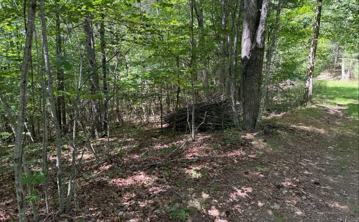Pictures of Land property located at Tdb Broad Shoals Rd, Riner, VA 24149 for sales - image #1
