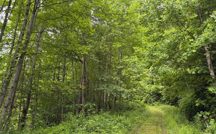 Pictures of Land property located at Osborne Mountain Rd, Raven, VA 24639 for sales - image #1