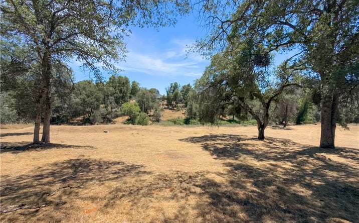 Pictures of Land property located at 1 Spriggs, Mariposa, CA 95338 for sales - image #1