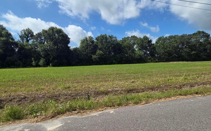Pictures of Land property located at 109 Roy Guidry Rd, Youngsville, LA 70592 for sales - image #1