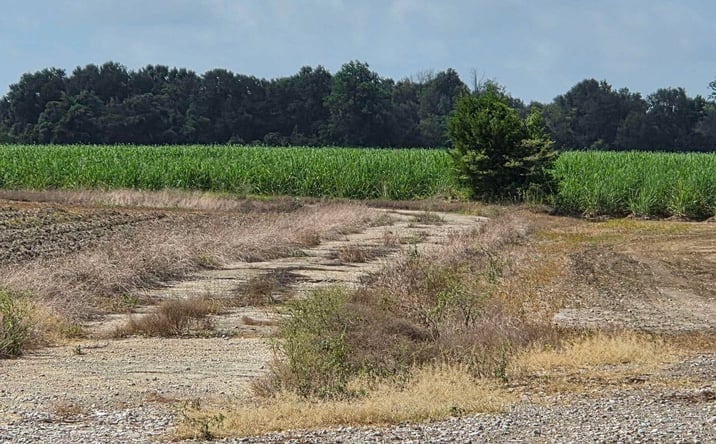 Pictures of Land property located at 2101 Savoy Rd, Youngsville, LA 70592 for sales - image #1