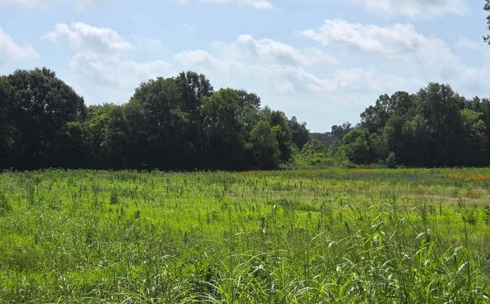 Pictures of Land property located at 1101 Gallet Rd, Youngsville, LA 70592 for sales - image #1