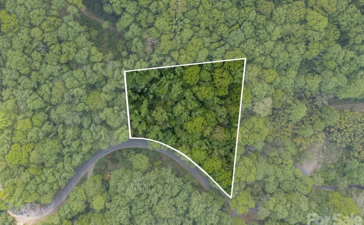 Pictures of Land property located at 259 Mockingbird Road Unit: 1, Swannanoa, NC 28778 for sales - image #1