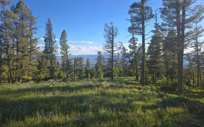 Pictures of Land property located at 1 Big Sky Ridge Road, DRUMMOND, MT 59832 for sales - image #1