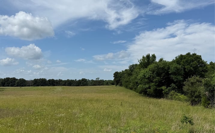 Pictures of Land property located at 8170 Bryant Road, Henryetta, OK 74880 for sales - image #1