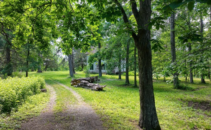 Pictures of Land property located at 137 Plains Road, New Paltz, NY 12561 for sales - image #1