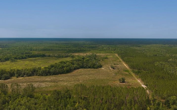 Pictures of Land property located at NE 246th St, Old Town, FL 32680 for sales - image #1
