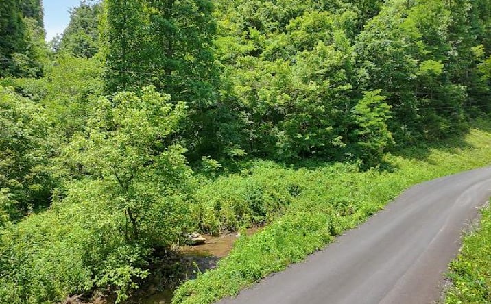 Pictures of Land, Multifamily property located at TBD Heralds Valley Road, Castlewood, VA 24224 for sales - image #1