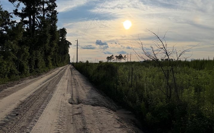Pictures of Land property located at Tract 0 Conine Road, Lakeland, GA 31635 for sales - image #1