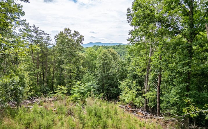 Pictures of Land property located at Lt 1 Stormy Ridge, Brasstown, NC 28902 for sales - image #1